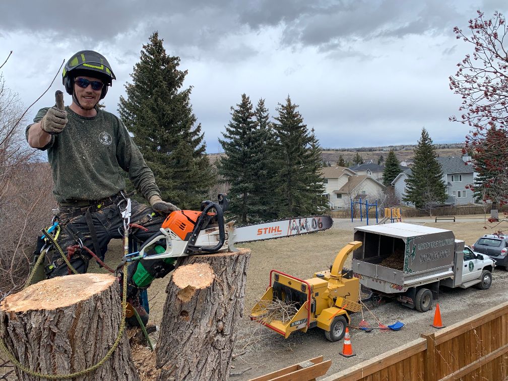 Photo of Nick Gratton, professional arborist in Calgary, Alberta